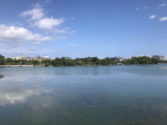S__13033476.jpg