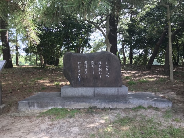 S__13033477.jpg